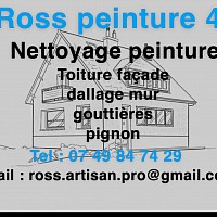 Ross peintre 45