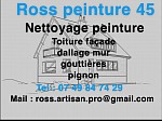 Ross peintre 45